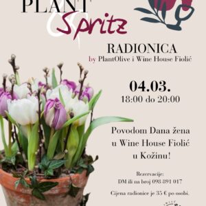 Plant&Spritz visual