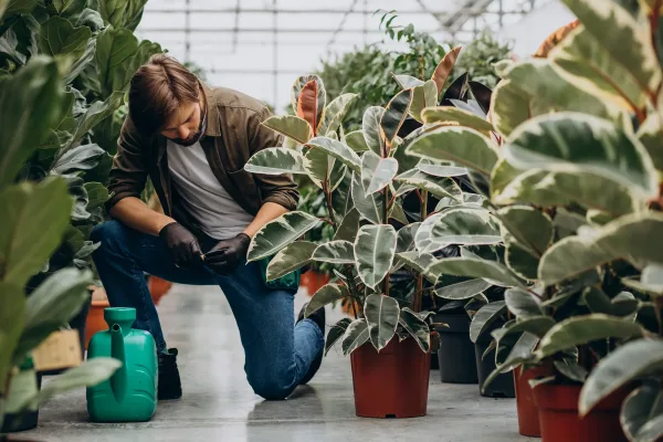 man-florist-working-green-house 1